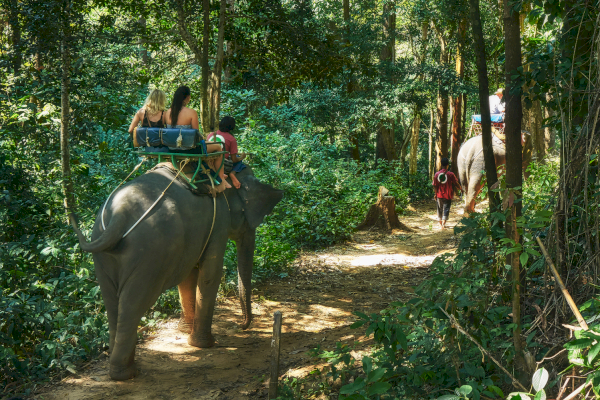 Elefantenreiten auf Phuket