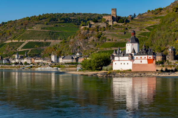 Rhein Panorama mit A-ROSA Flora